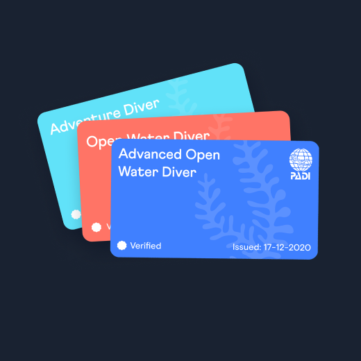 Every card in one wallet, works offline